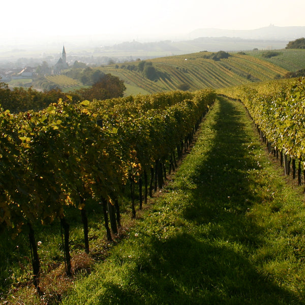 Weingut R&A Pfaffl