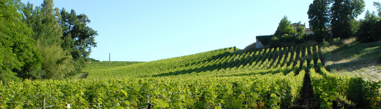 Chateau Belles Graves