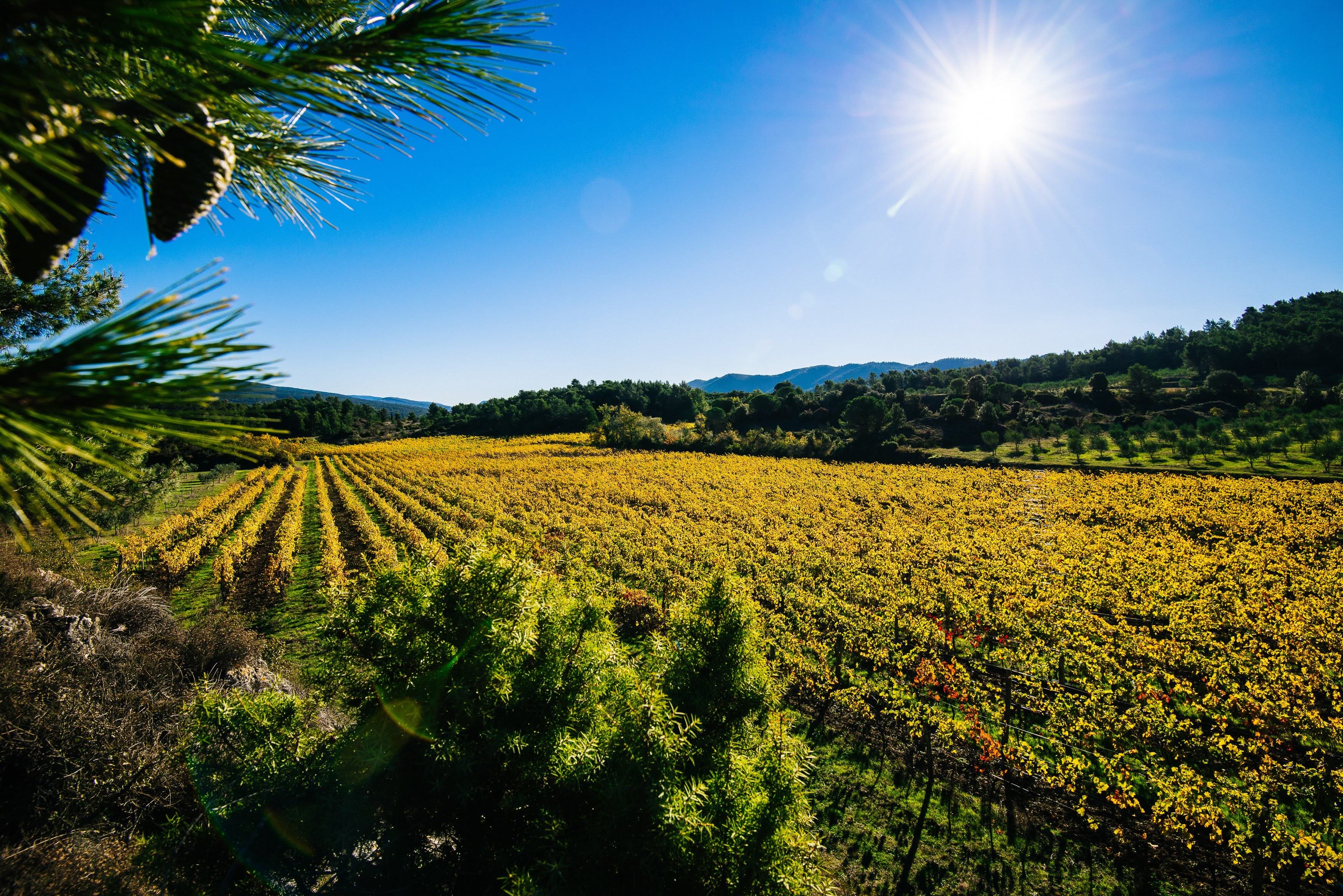 Languedoc - Roussillon