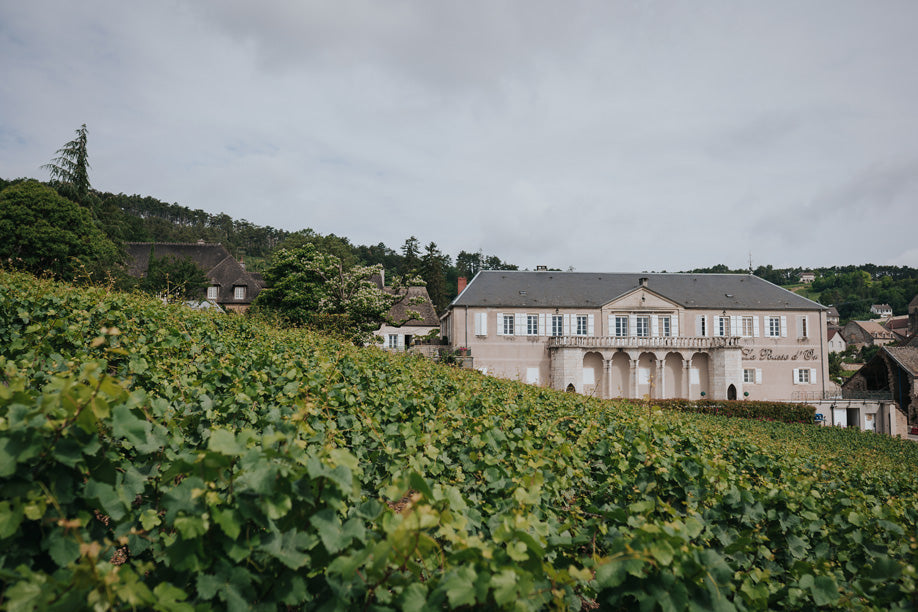 Domaine de La Pousse d'Or