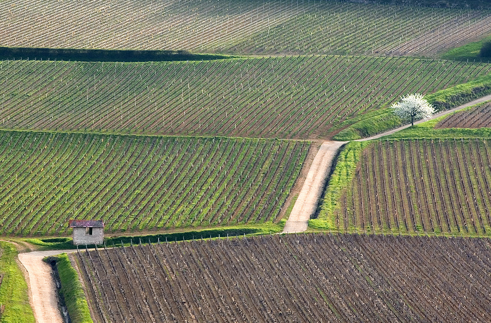 Domaine de Rochebin