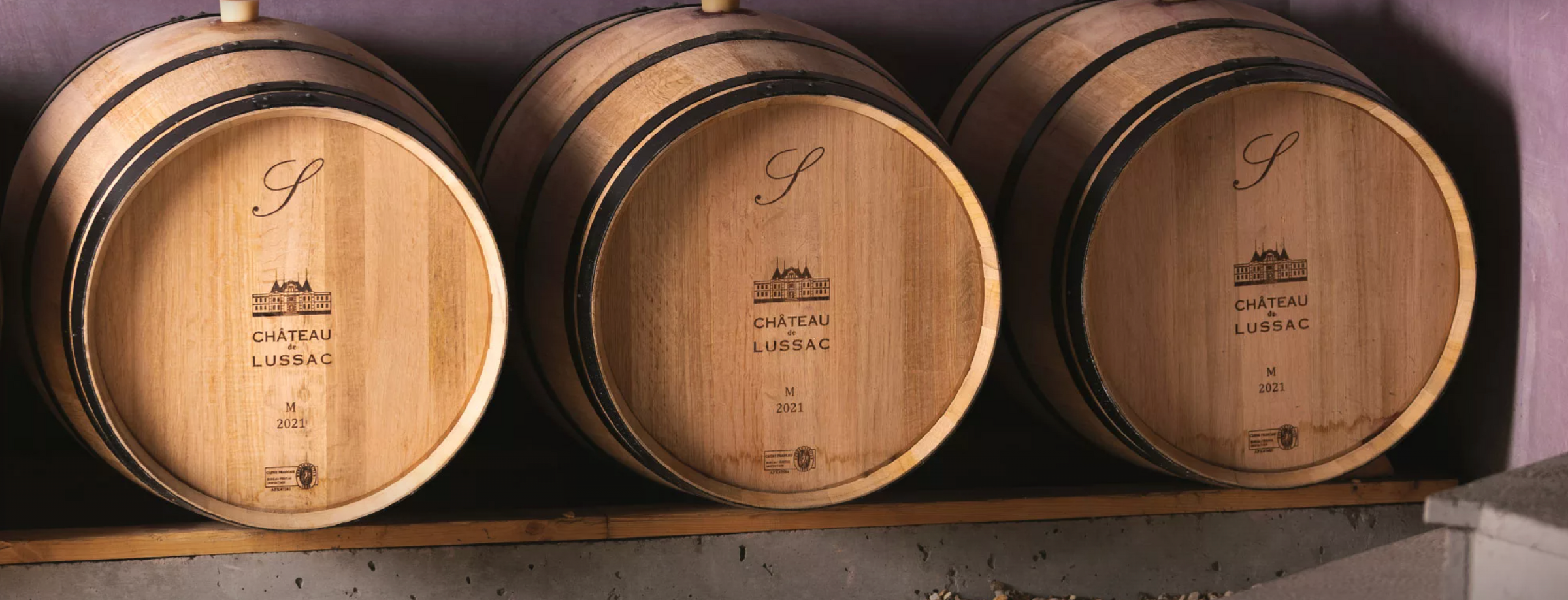 Chateau de Lussac