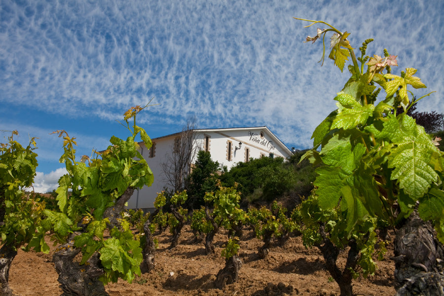 Bodegas Senorio de Arana