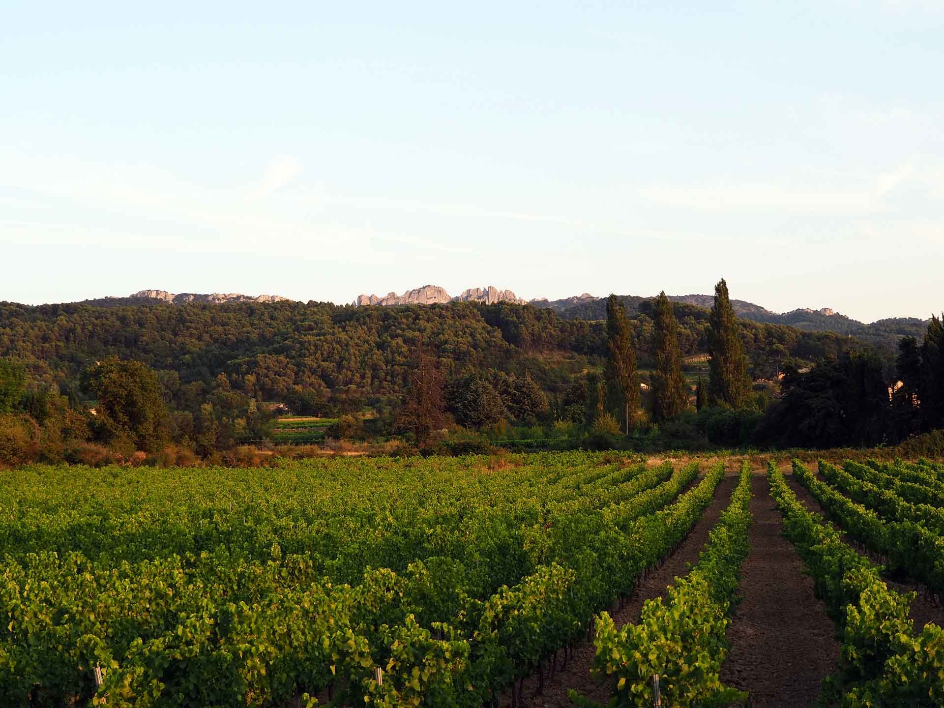 Domaine des Pasquieres