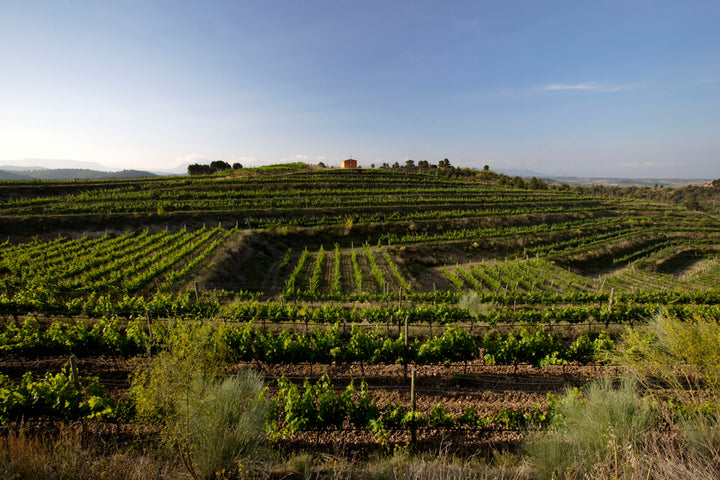 Domini de la Cartoxia Priorat Clos Galena