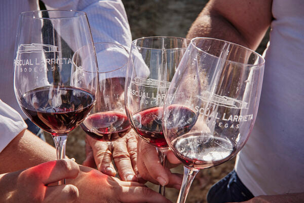Bodegas Pascual Larrieta Rioja Alavesa Argia