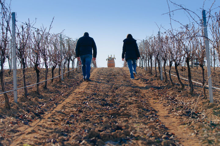 J Fernando Family Wineries SOL Finca Navahermosa Verdejo
