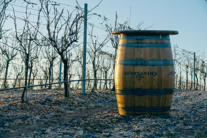 J Fernando Family Wineries SOL Finca Navahermosa Verdejo