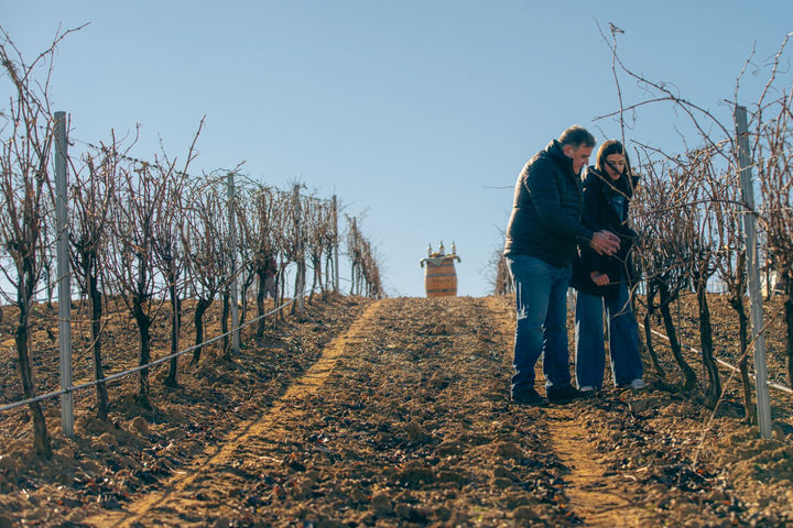 J Fernando Family Wineries SOL Finca Navahermosa Verdejo