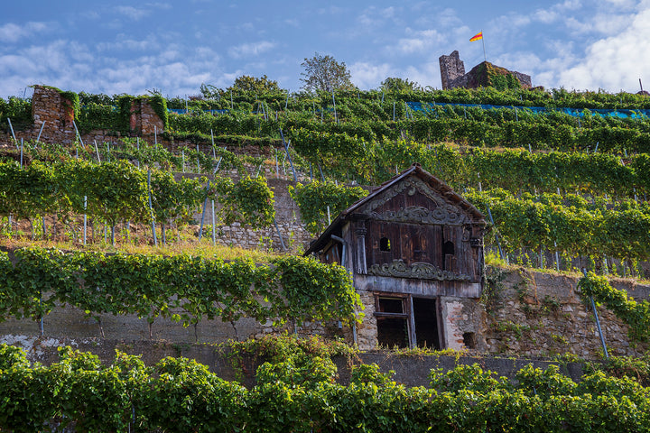 COMING SOON Weingut Fritz Waßmer Spätsburgunder M