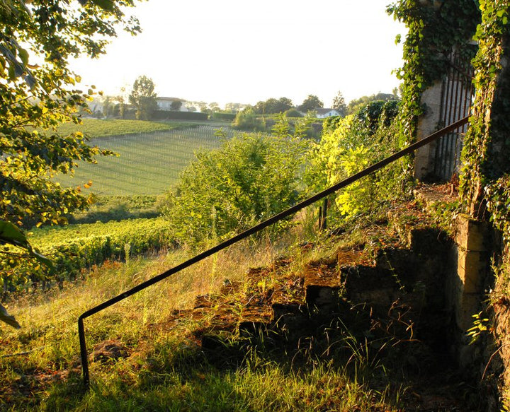 Chateau Belles-Graves