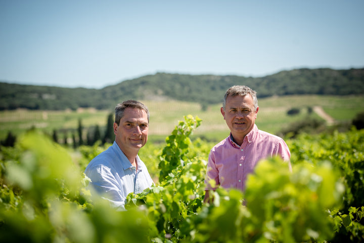Dauvergne et Ranvier Ardeche Syrah Le Voisin d'en Face