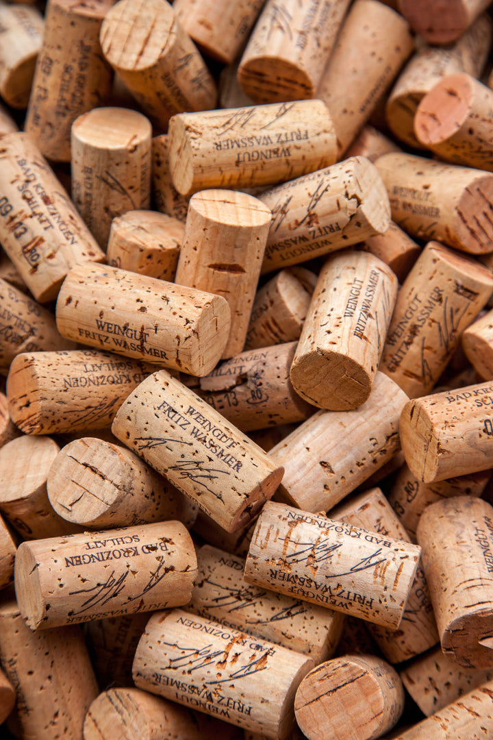 COMING SOON Weingut Fritz Waßmer Spätsburgunder M