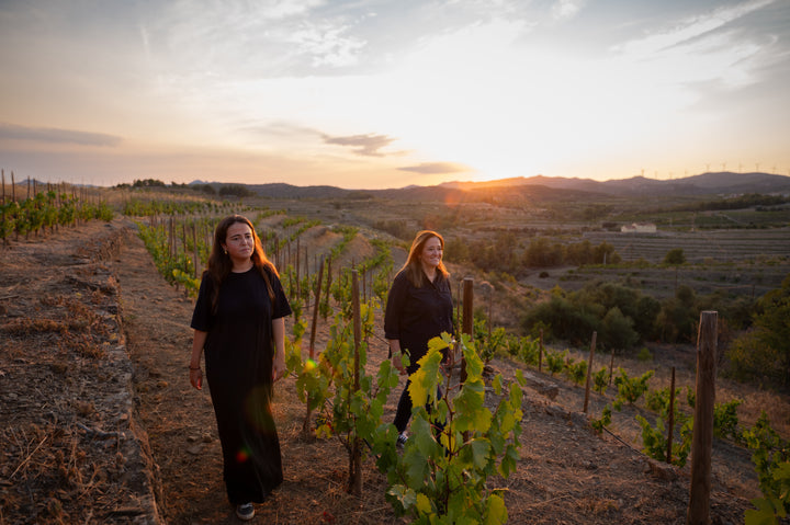 Domini de la Cartoxia Priorat Clos Galena