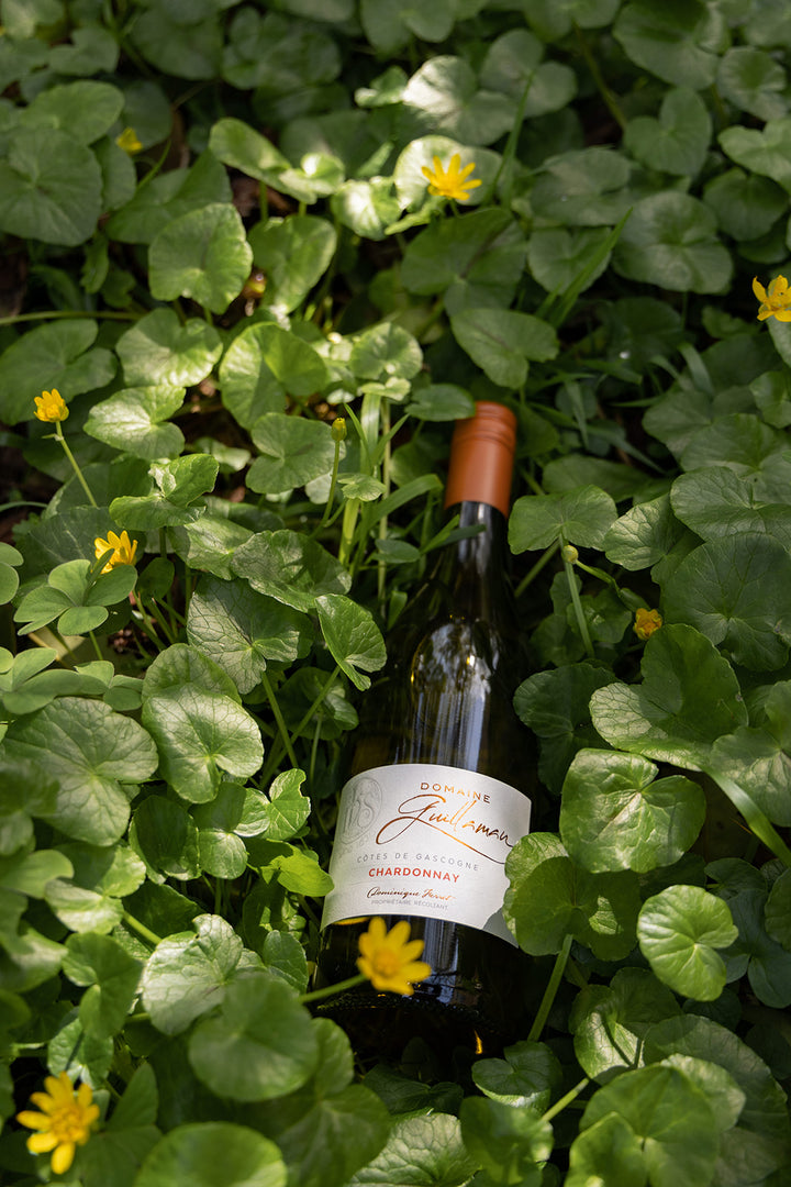 Domaine Guillaman Chardonnay