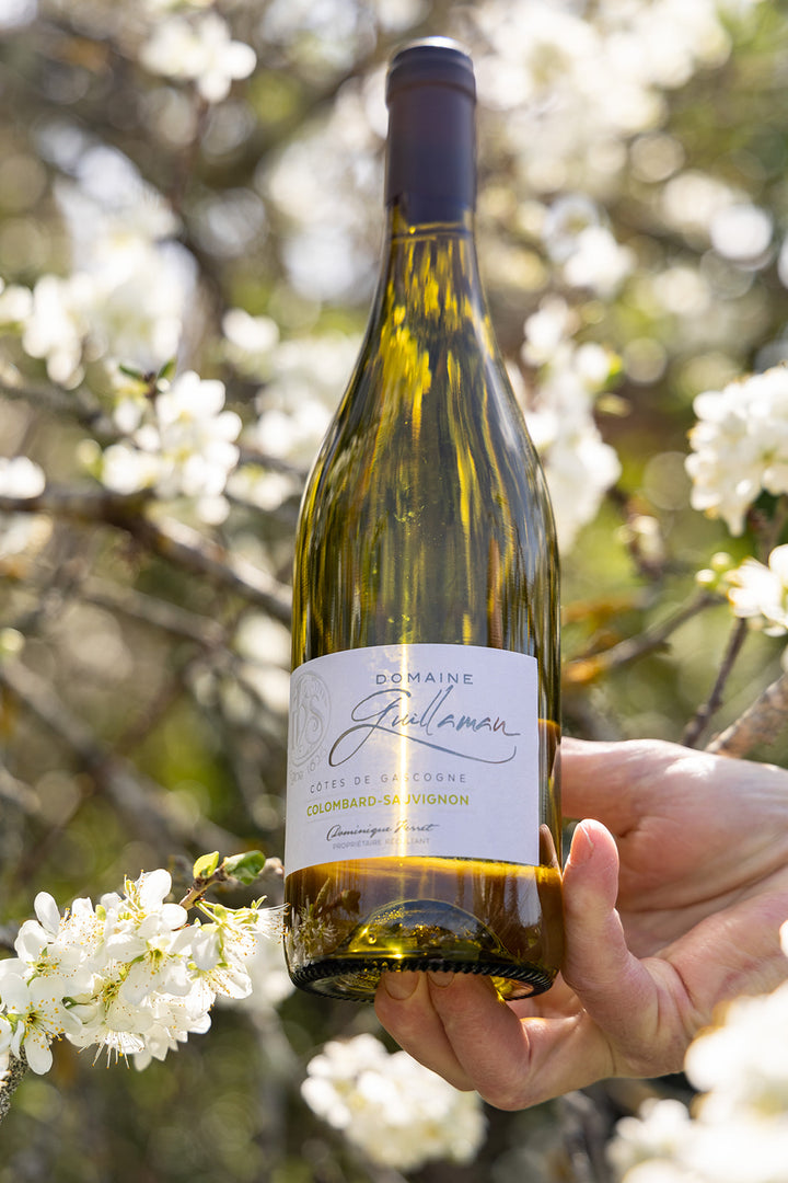 Domaine Guillaman Colombard Sauvignon