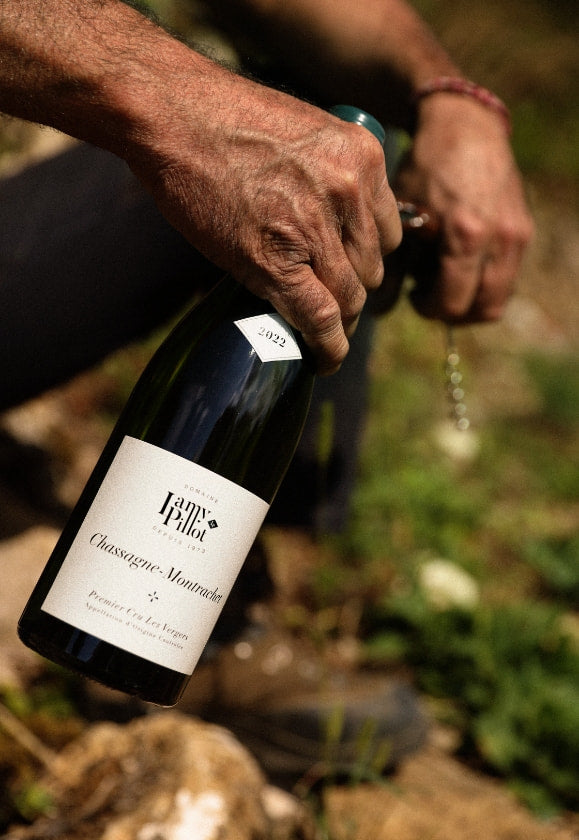 Domaine Lamy-Pillot Chassagne-Montrachet 'Pot Bois'