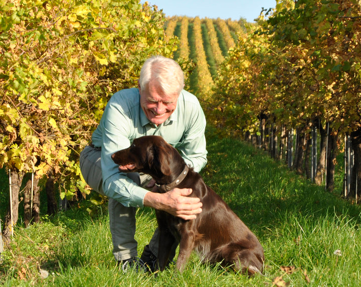 Weingut R&A Pfaffl SONNE Riesling