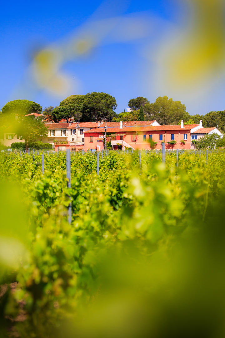 Chateau Paquette Angelico Rose