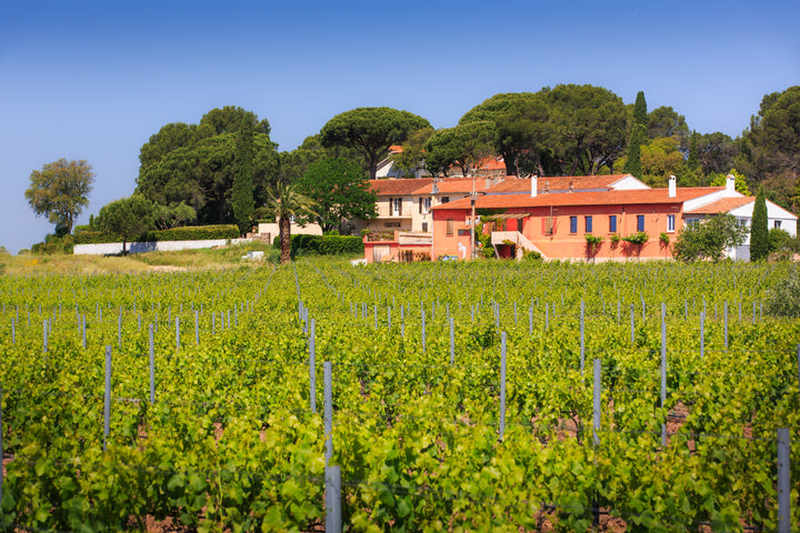 Chateau Paquette Cuvée Roches Noire