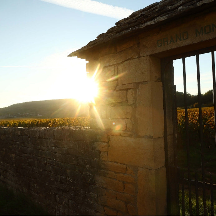Domaine Lamy-Pillot Chassagne-Montrachet 'Pot Bois'