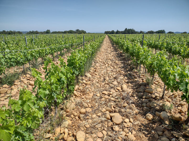 Dauvergne et Ranvier Ardeche Syrah Le Voisin d'en Face