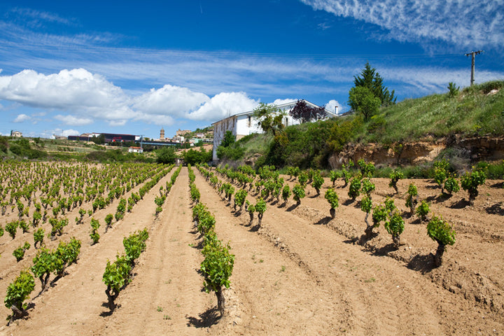 Bodegas Senoria de Arana  Viña del Oja Rioja Crianza