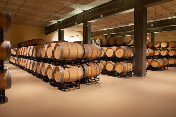 Bodegas Senoria de Arana  Viña del Oja Rioja Crianza