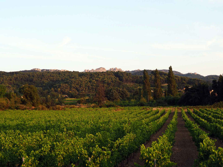 Domaine des Pasquiers Vin de Pays de Vaucluse