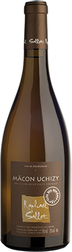 Domaine Sallet Macon-Uchizy 'Clos des Ravieres'