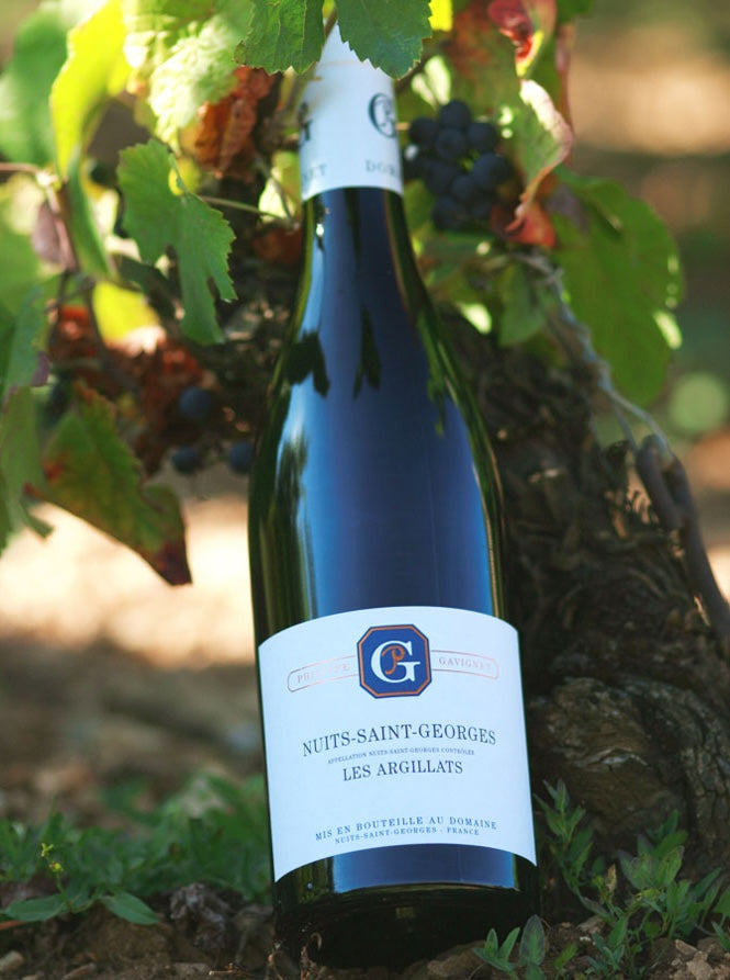 Domaine Philippe Gavignet Nuits-St-Georges Rouge 'Les Argillats'
