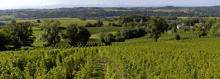 Château de Cabidos Cuvée Gaston Phoebus Sec