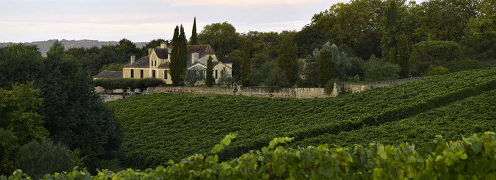 Château de Cabidos Cuvée Gaston Phoebus Sec