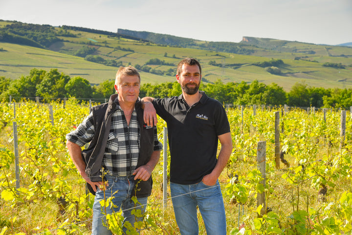 Chateau Vitallis Pouilly-Fuisse 'Les Vignes du Chateau'