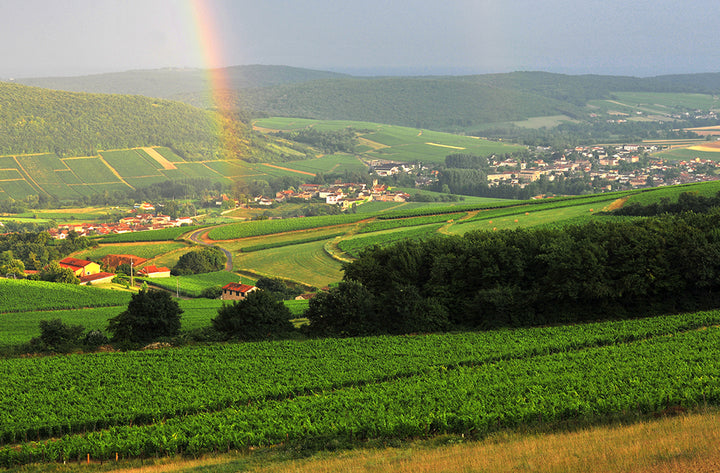 Domaine de Rochebin Bourgogne Rouge 'Clos St-Germain'