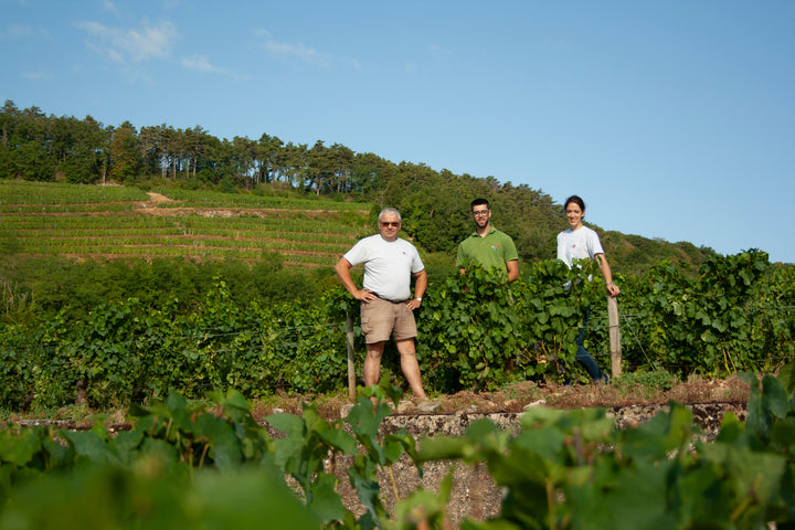 Domaine Philippe Gavignet Nuits-St-Georges Blanc 'Les Argillats'