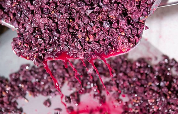 Coming Soon Domaine Bony-Gachot