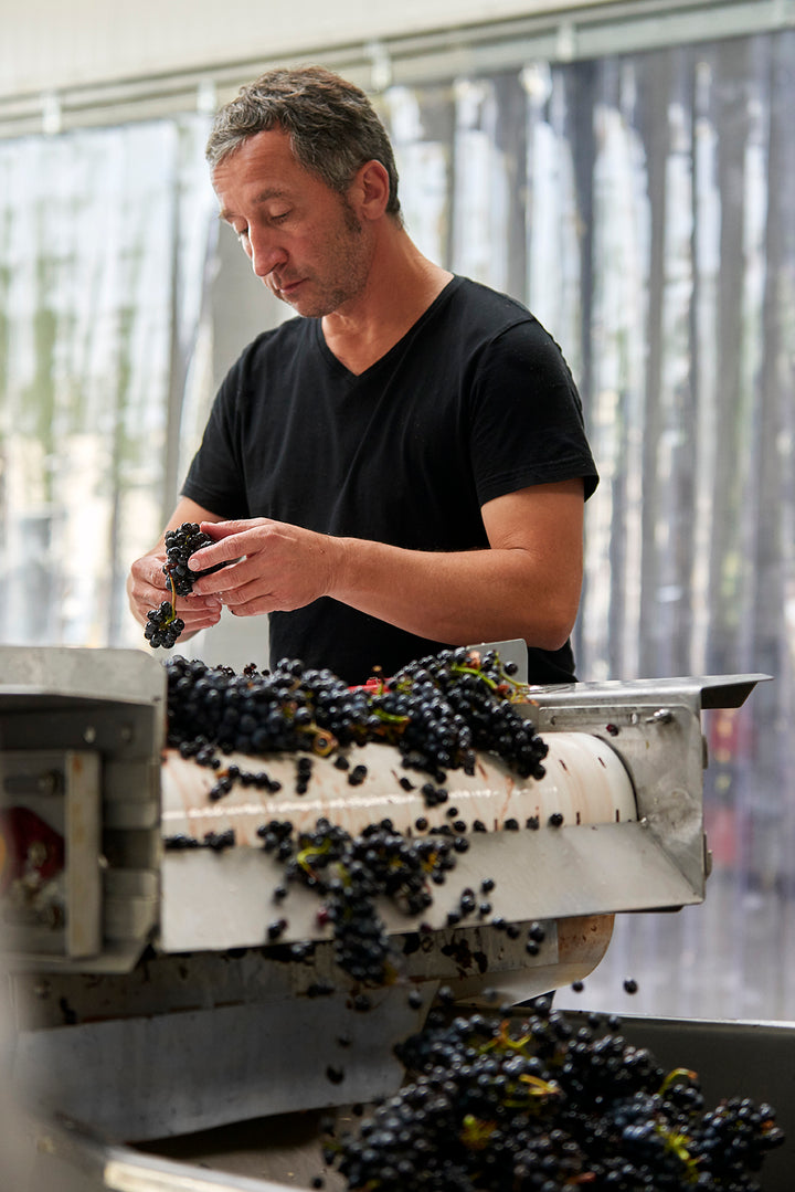 Coming Soon Domaine Rene Bouvier Bourgogne- Aligoté