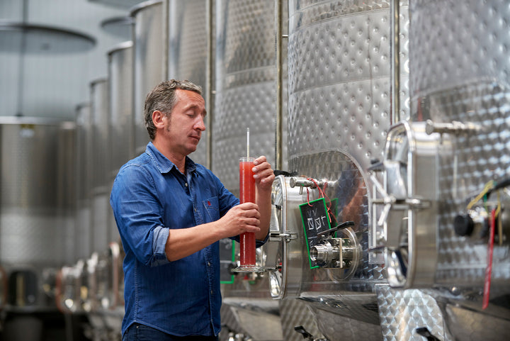 Coming Soon Domaine Rene Bouvier Bourgogne- Aligoté